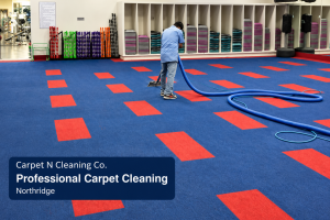 Professional carpet cleaning in a studio